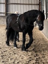 Werken met lange lijnen